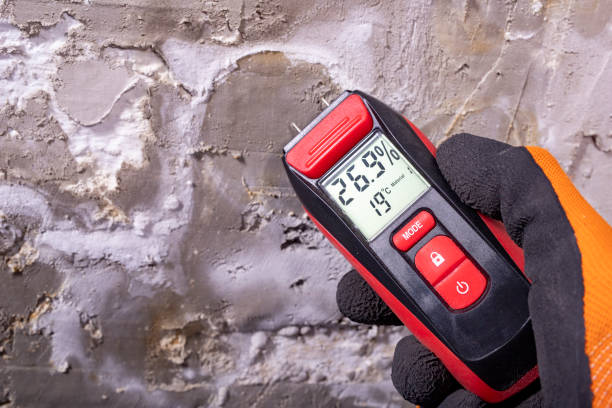 Mold Testing and Removal in West Laurel, MD