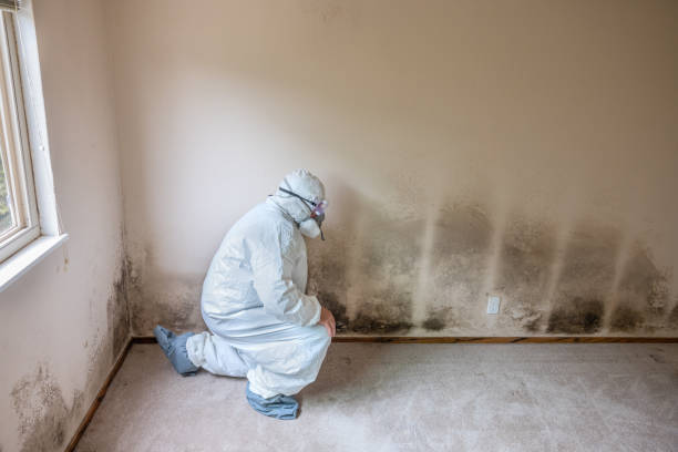 Best Crawl Space Mold Removal  in West Laurel, MD